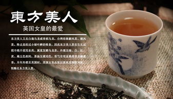 價格 廠家 中國供應商