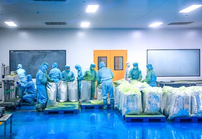 江口:抹茶超級工廠