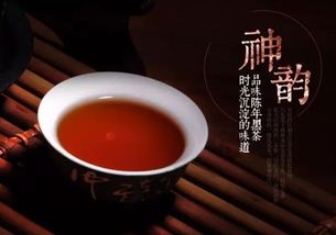 話春茶業 簡素如茶的幸福