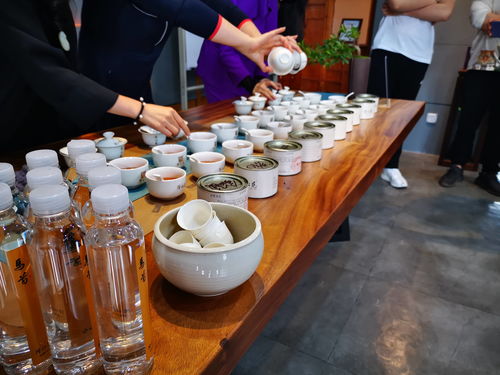 隆沁苑茶業春天里的第一場盛宴