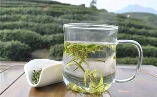 茶商巡禮之大霧山茶業(yè) 以茶為心，以誠為葉